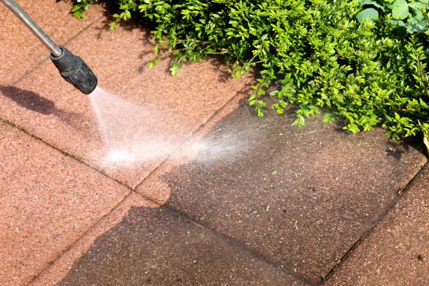 Best Exterior Home Cleaning  in Medford, WI